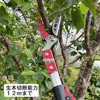 DAISHIN 3.5m 4段伸縮高枝切鋏 軽量便利